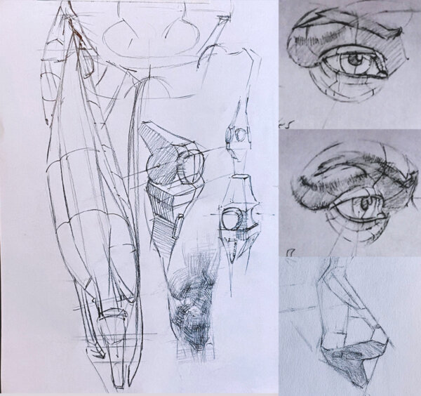 Anatomy for Artists - Image 3