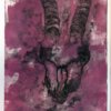 Print of an animal skull by Elizabeth Wakefield