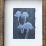 Maggie Jennings ‘Fungi 1’ Mixed media on paper